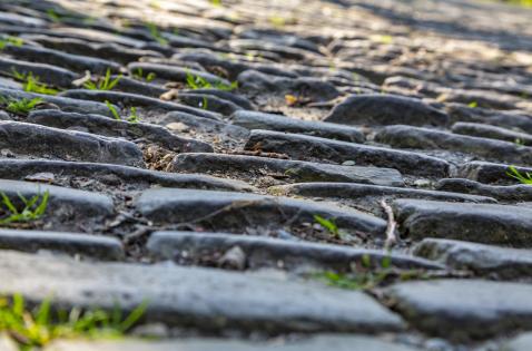 busreis naar Wandelreis Ronde van Vlaanderen