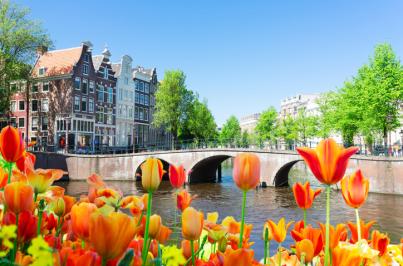 busreis naar Tulpen uit Amsterdam