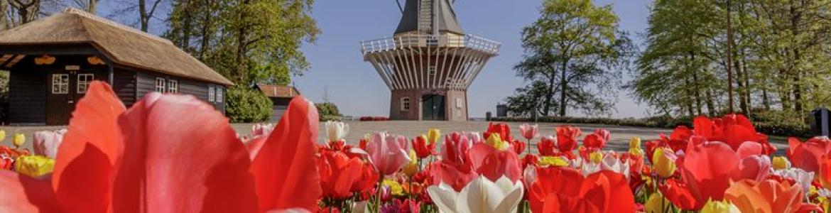 busreis Keukenhof 01/05