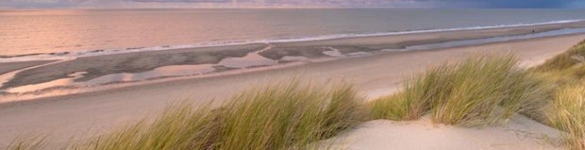 busreis Uitwaaien aan zee
