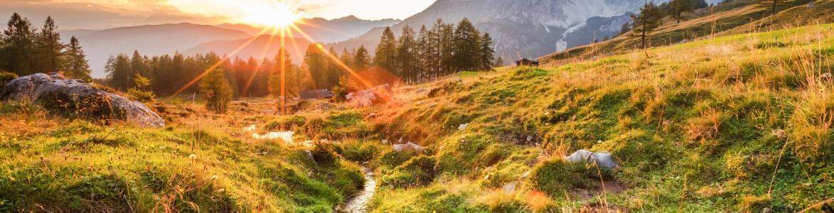 busreis Zomer in Oostenrijk