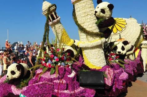 busreis naar Bloemencorso Blankenberge 30/08