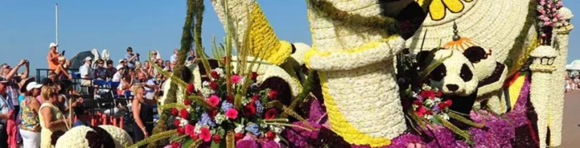 busreis Bloemencorso Blankenberge 30/08