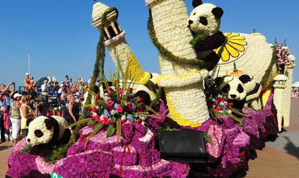busreis naar Bloemencorso Blankenberge 30/08